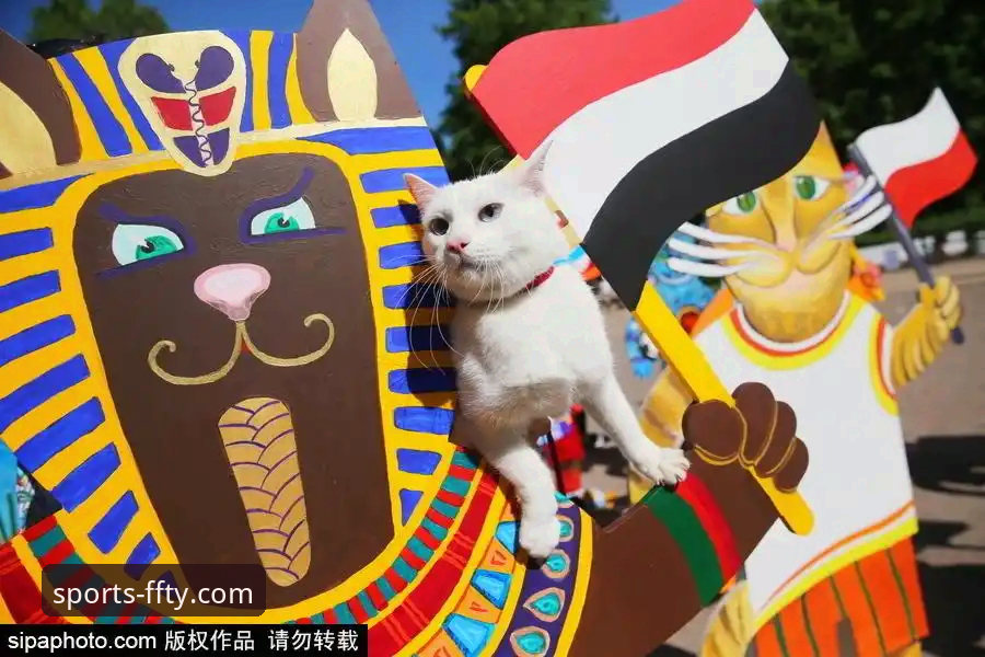 揭秘舒尔茨“世界波”背后：捷克重返世界杯的猫与远方